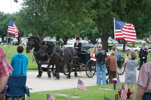 people riding horses on green grass field during daytime