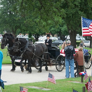 people riding horses on green grass field during daytime