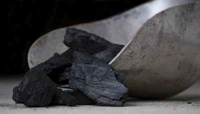 Hand holding a handful of dark, natural coconut shell charcoal pieces