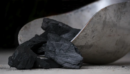Charcoal raw material