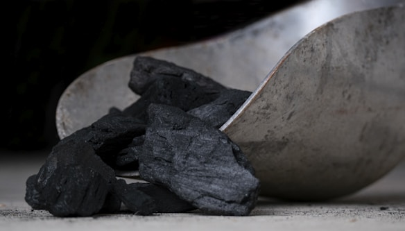 A close-up image of a metal scoop holding several pieces of black charcoal. The textured surface of the charcoal contrasts with the smooth, slightly tarnished metal surface of the scoop.
