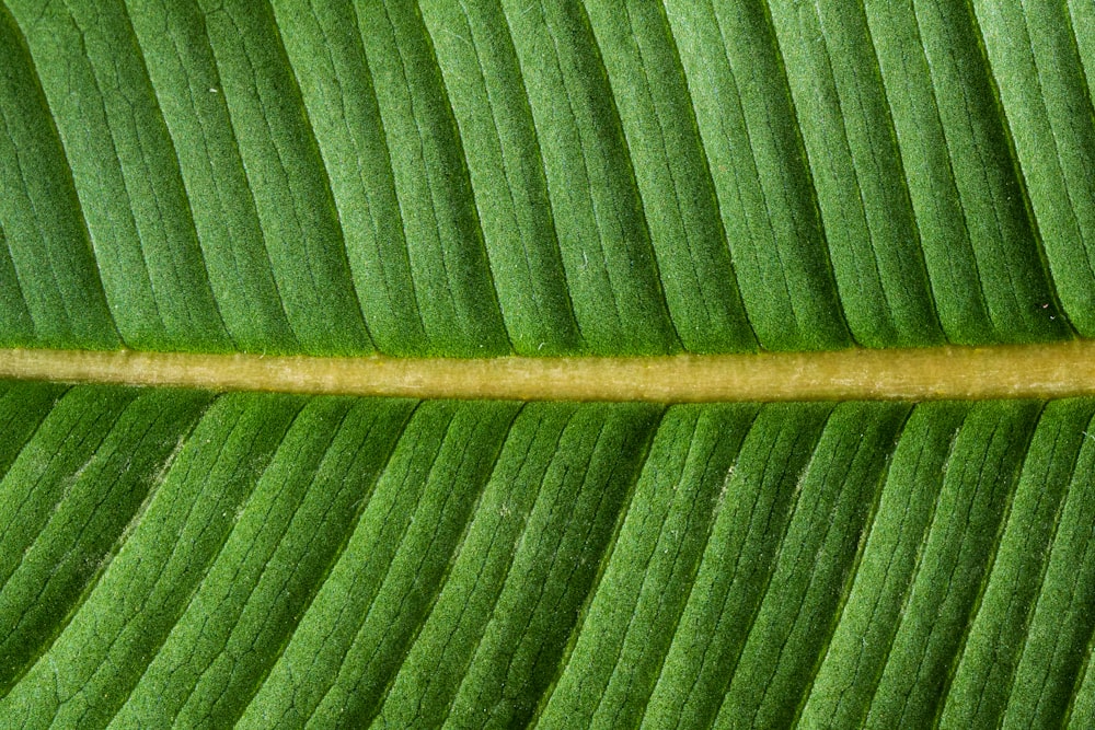 brown stick on green textile