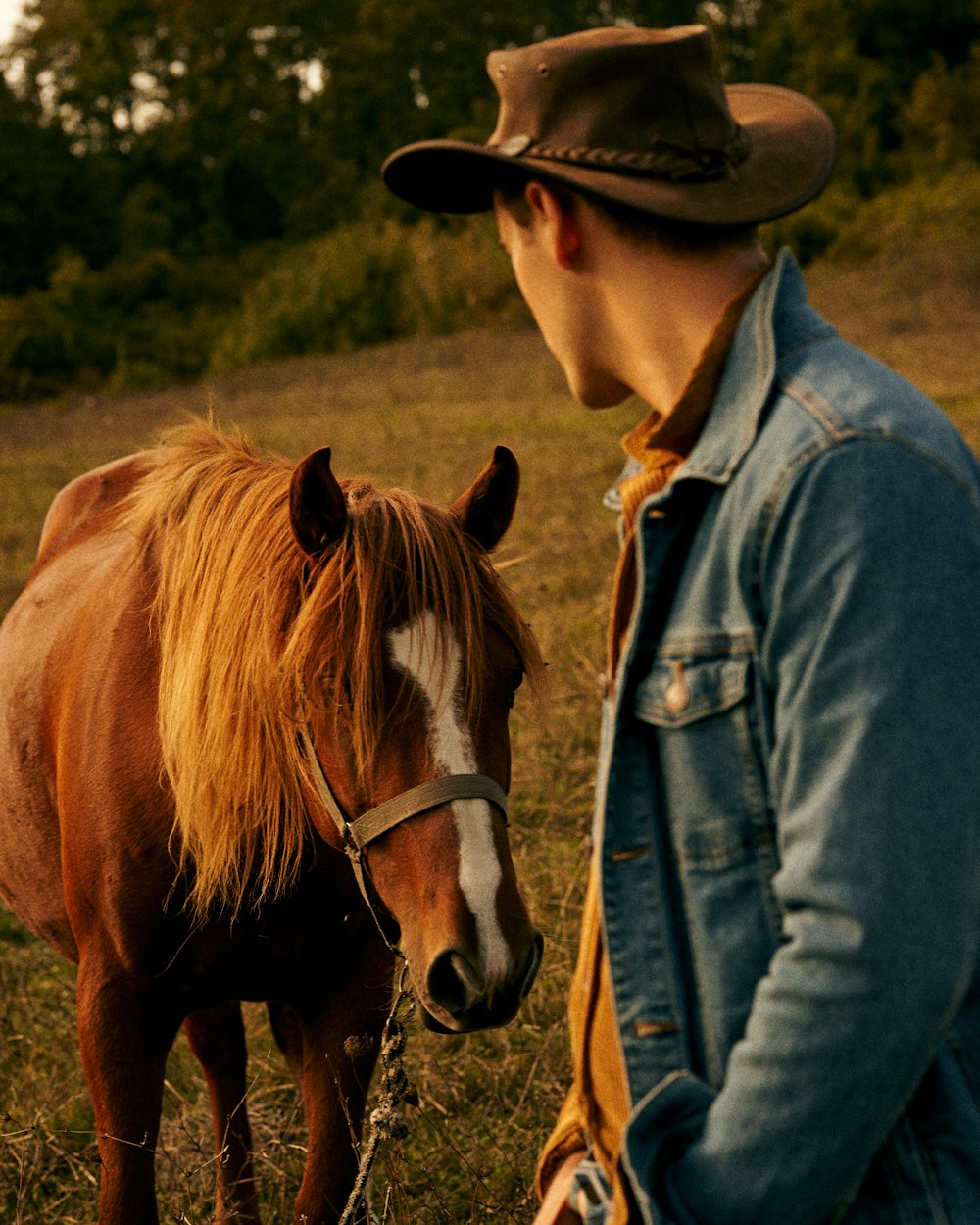 woman in blue denim jacket and brown cowboy hat standing beside brown horse during daytime