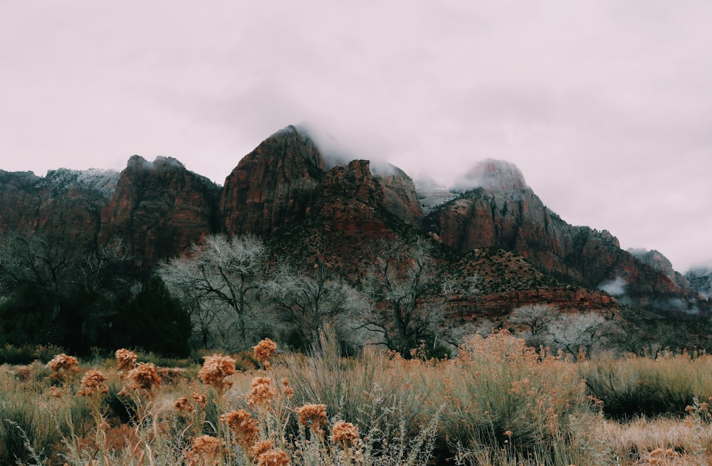 brown and gray rocky mountain under white cloudy sky during daytime