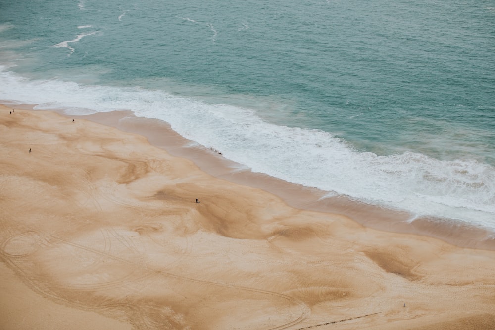 brown sand beach during daytime