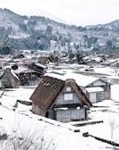 Traditional wooden houses in a quaint village surrounded by snow during winter.