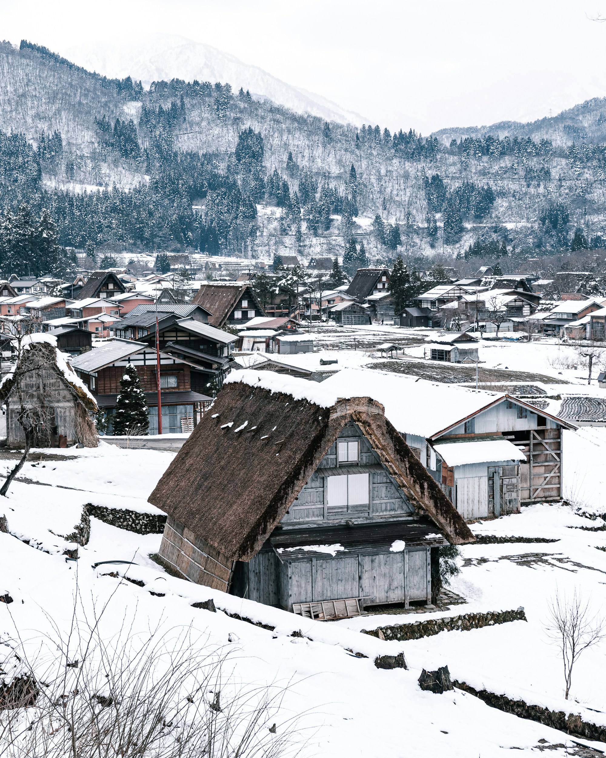 Optimal Weather in Shirakawa-go: Seasonal Guide for Year-round Visits