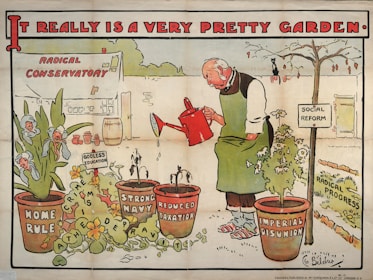 A cartoon depicts an elderly man wearing an apron and holding a red watering can. He is watering pots labeled 'Home Rule,' 'Strong Navy,' 'Reduced Taxation,' and 'Imperial Disunion.' The background includes a small building with a sign reading 'Radical Conservatory,' and there are words like 'Social Reform' and 'Godless Education' throughout. The imagery suggests a satirical take on political issues.