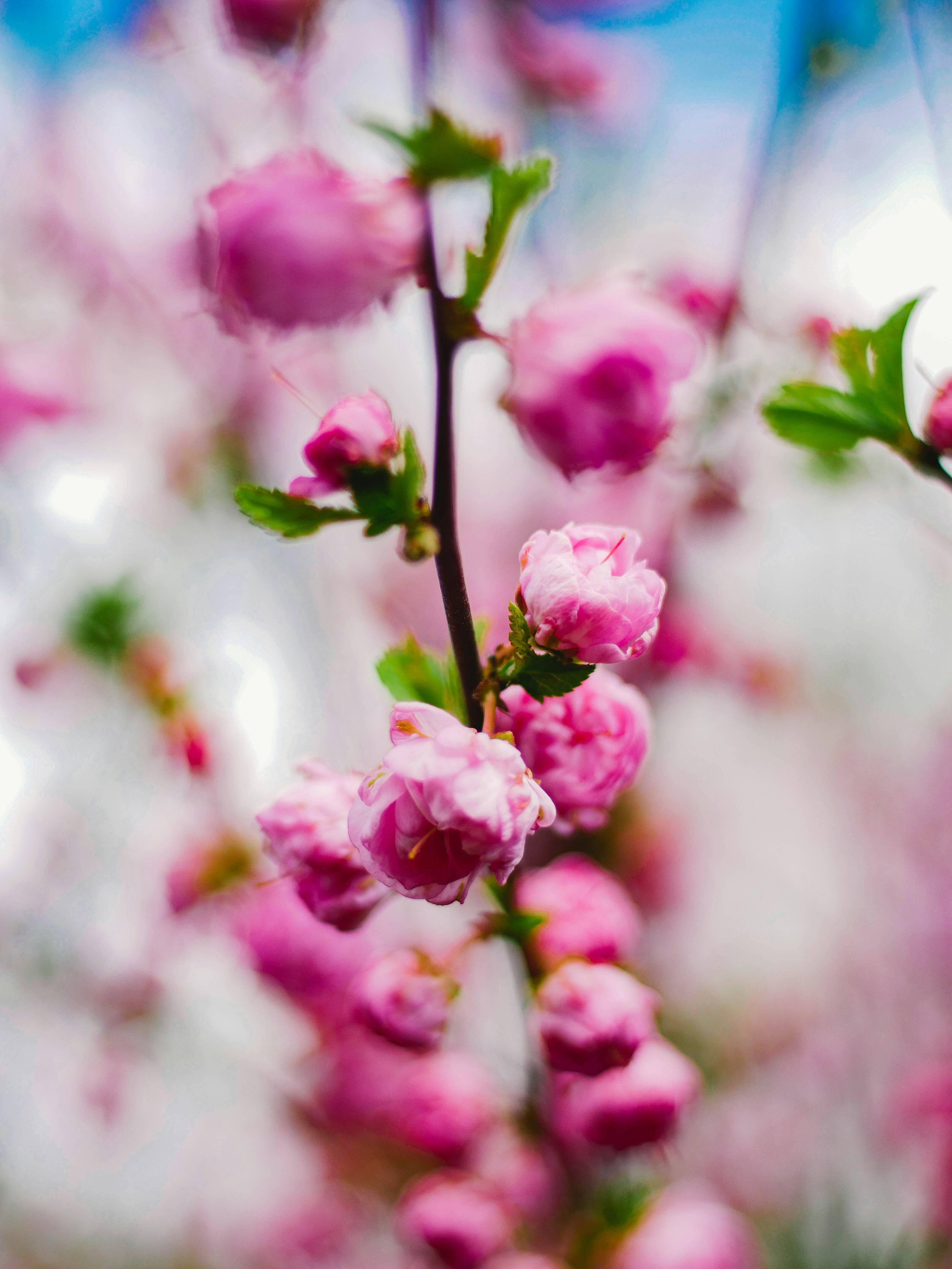 Photo by giobartlett