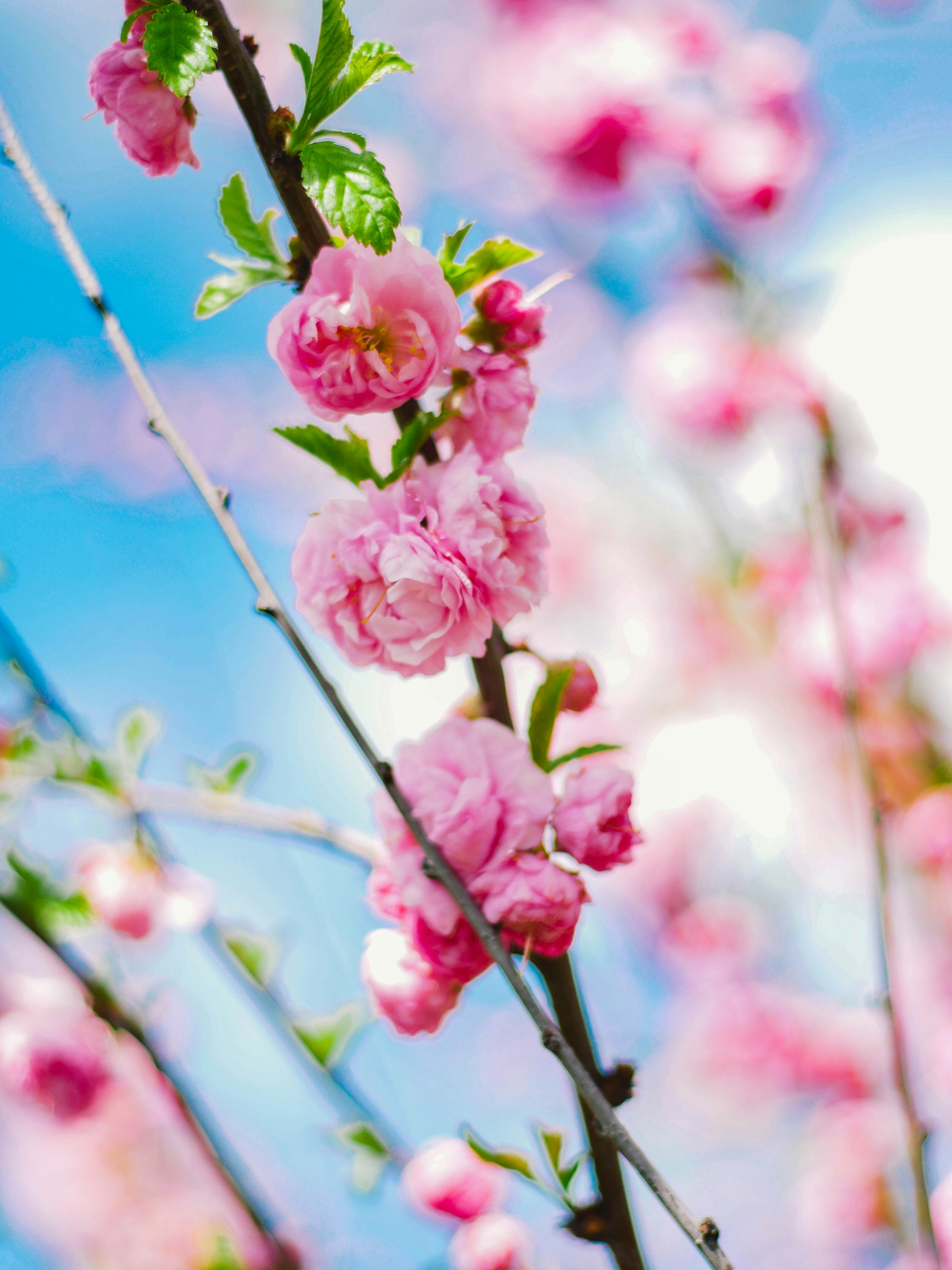 Photo by giobartlett