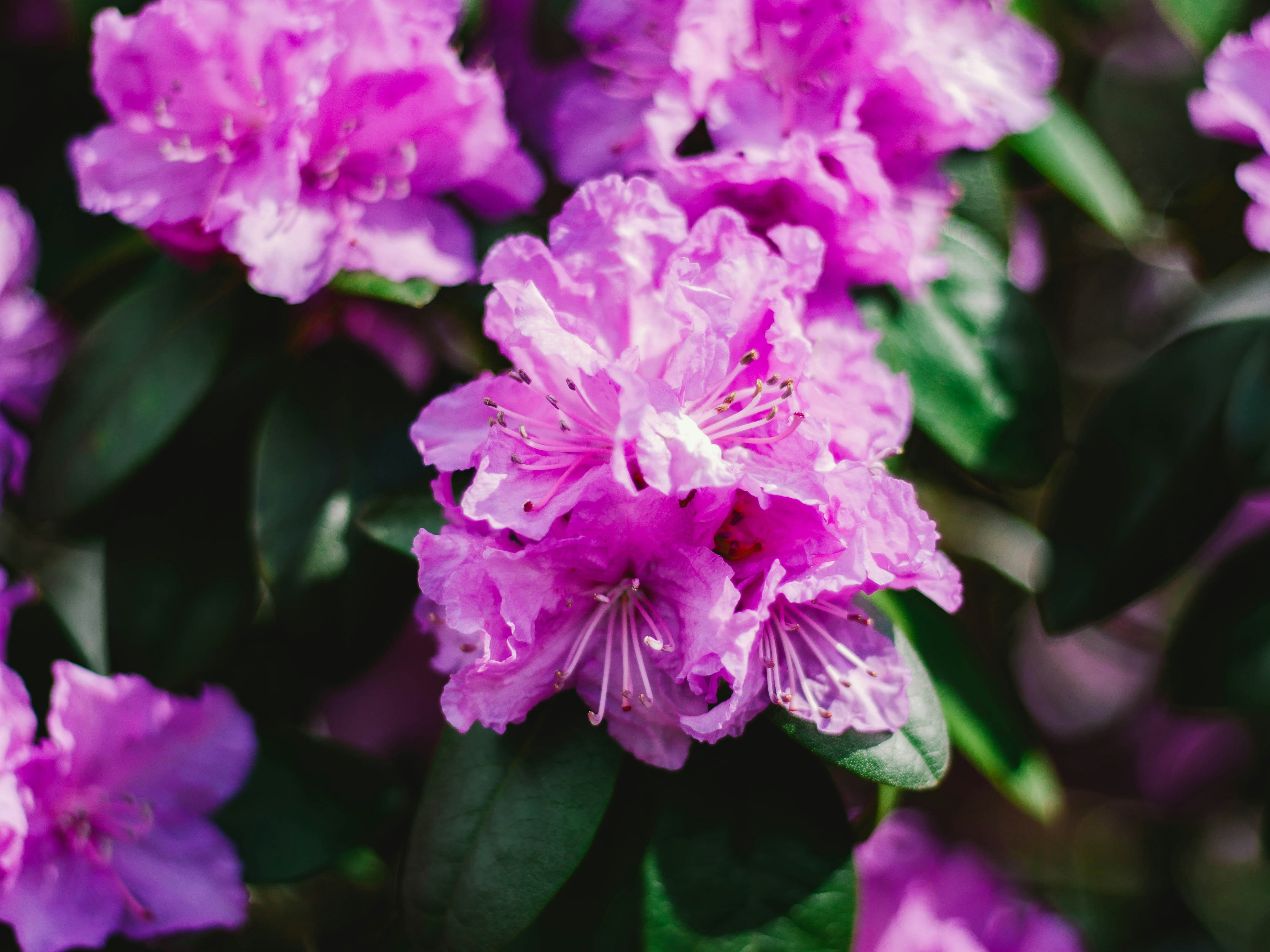 Photo by giobartlett