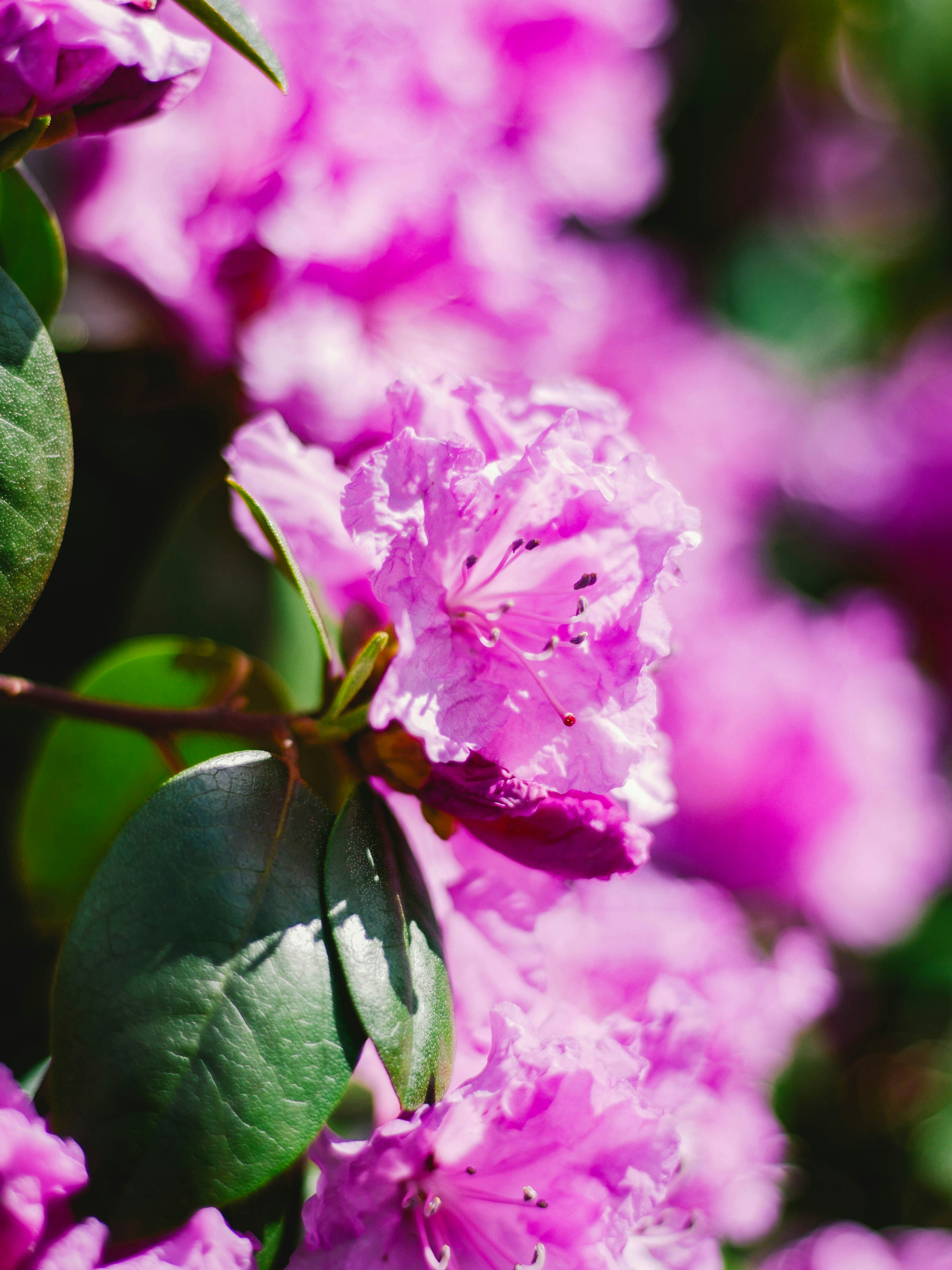 Photo by giobartlett