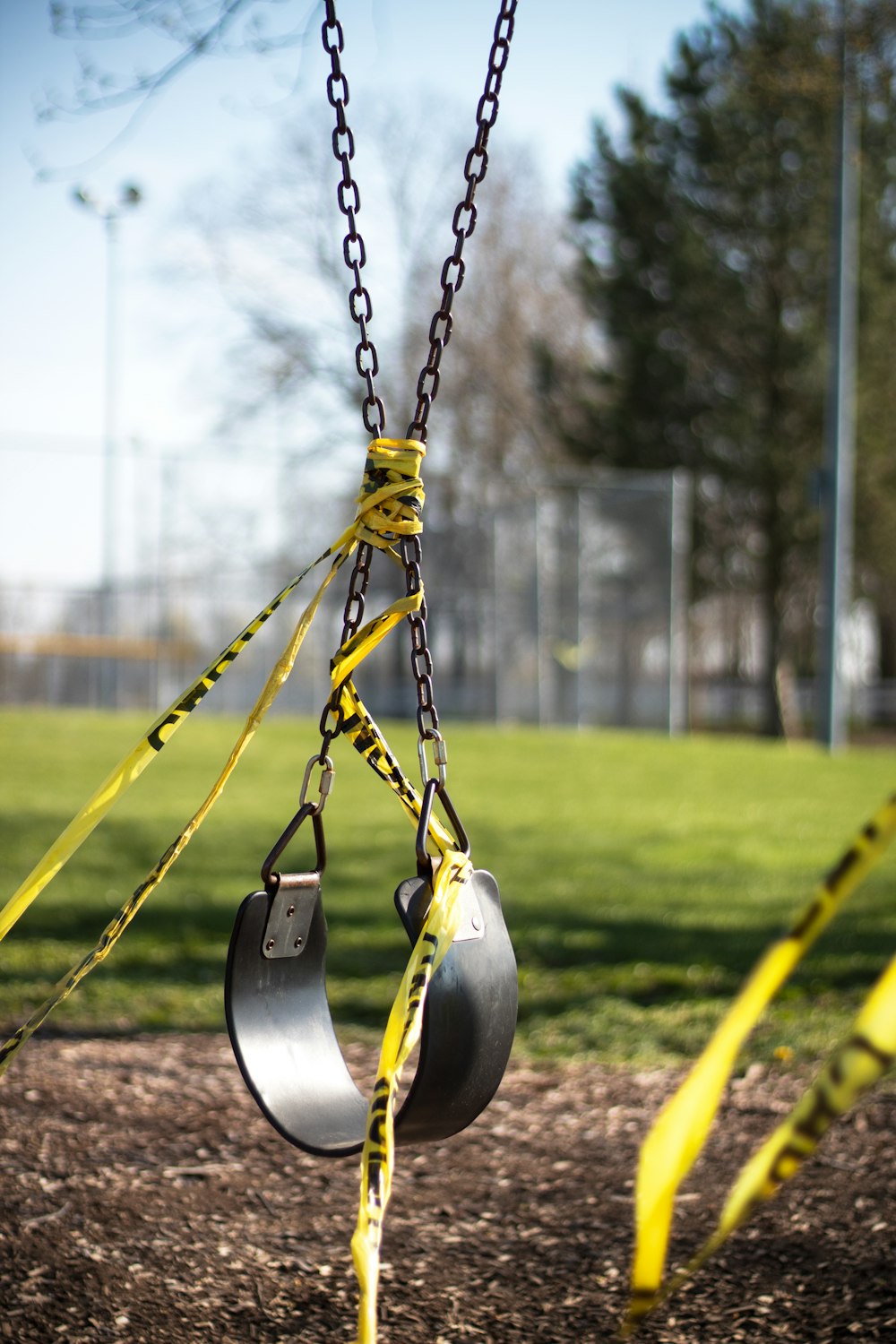 yellow and black swing near trees during daytime