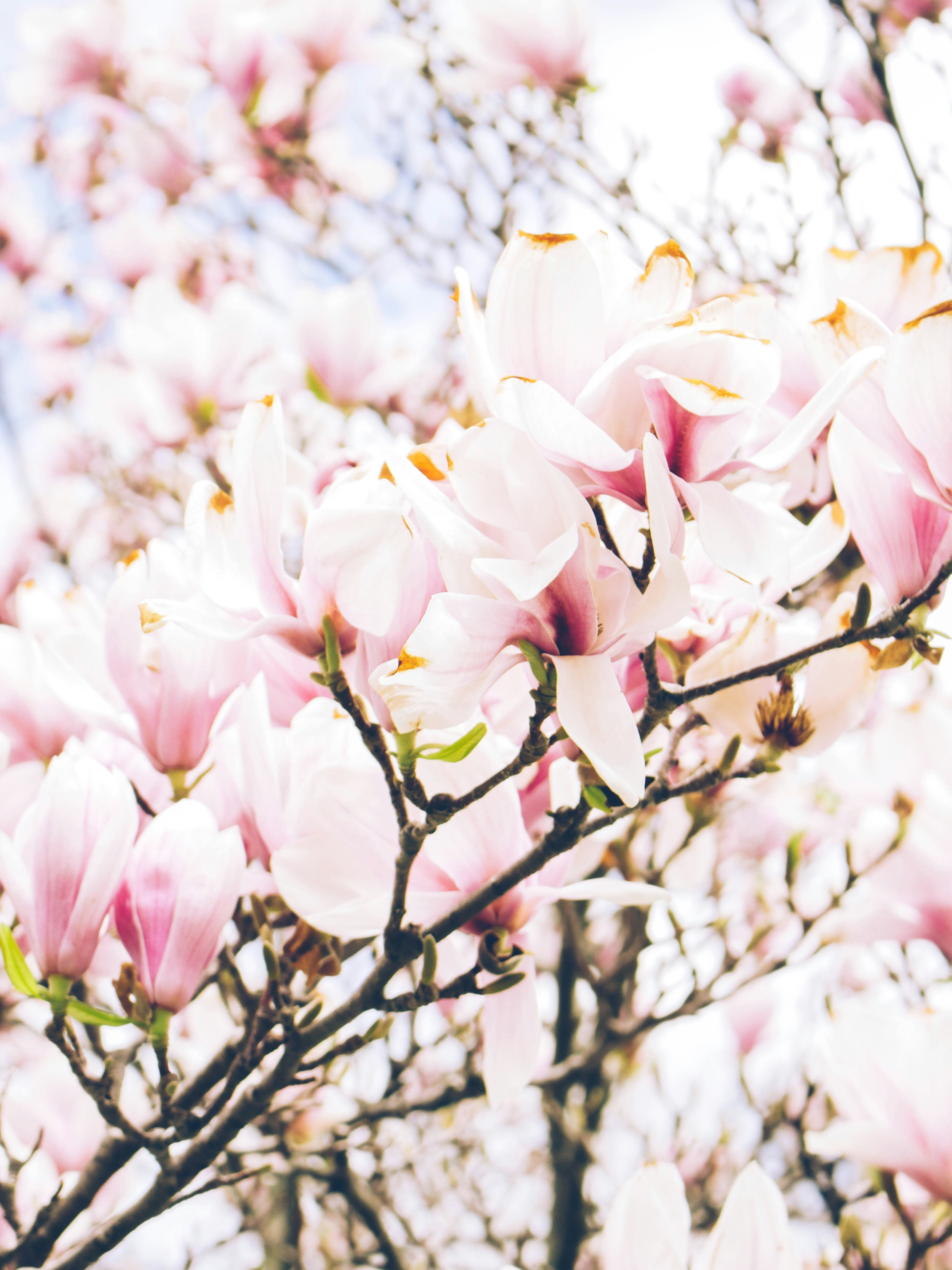 Photo by giobartlett