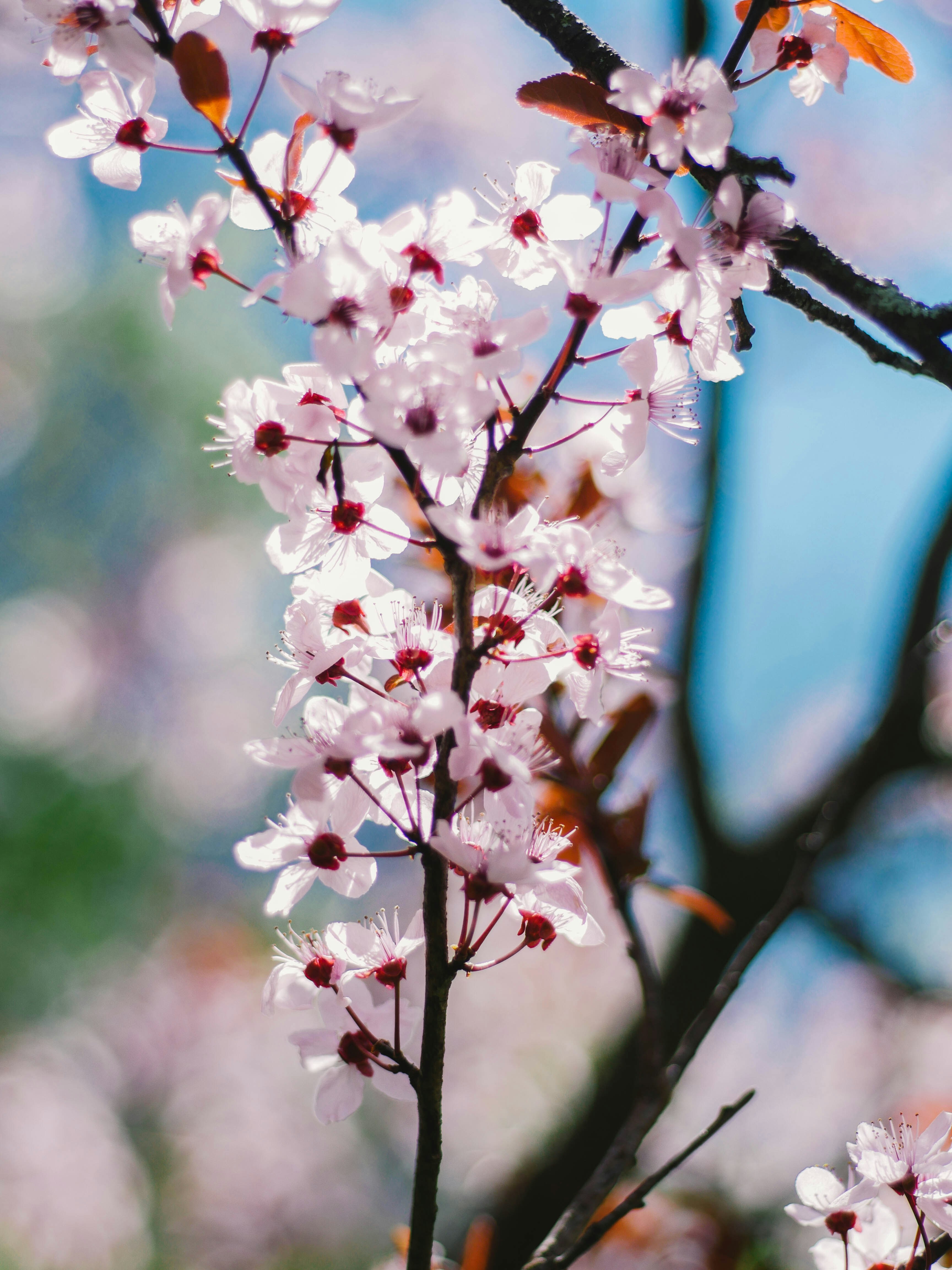 Photo by giobartlett