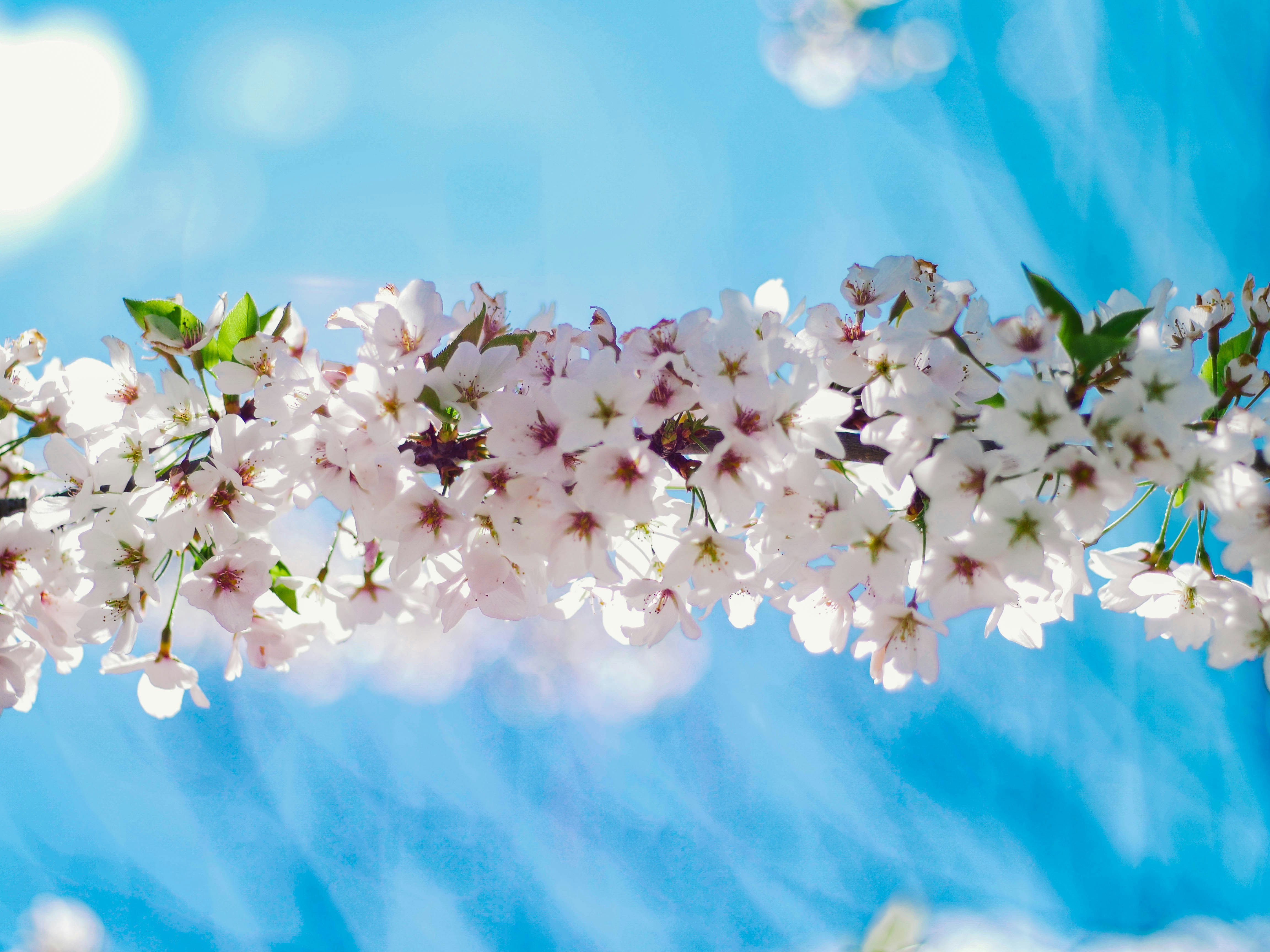 Photo by giobartlett