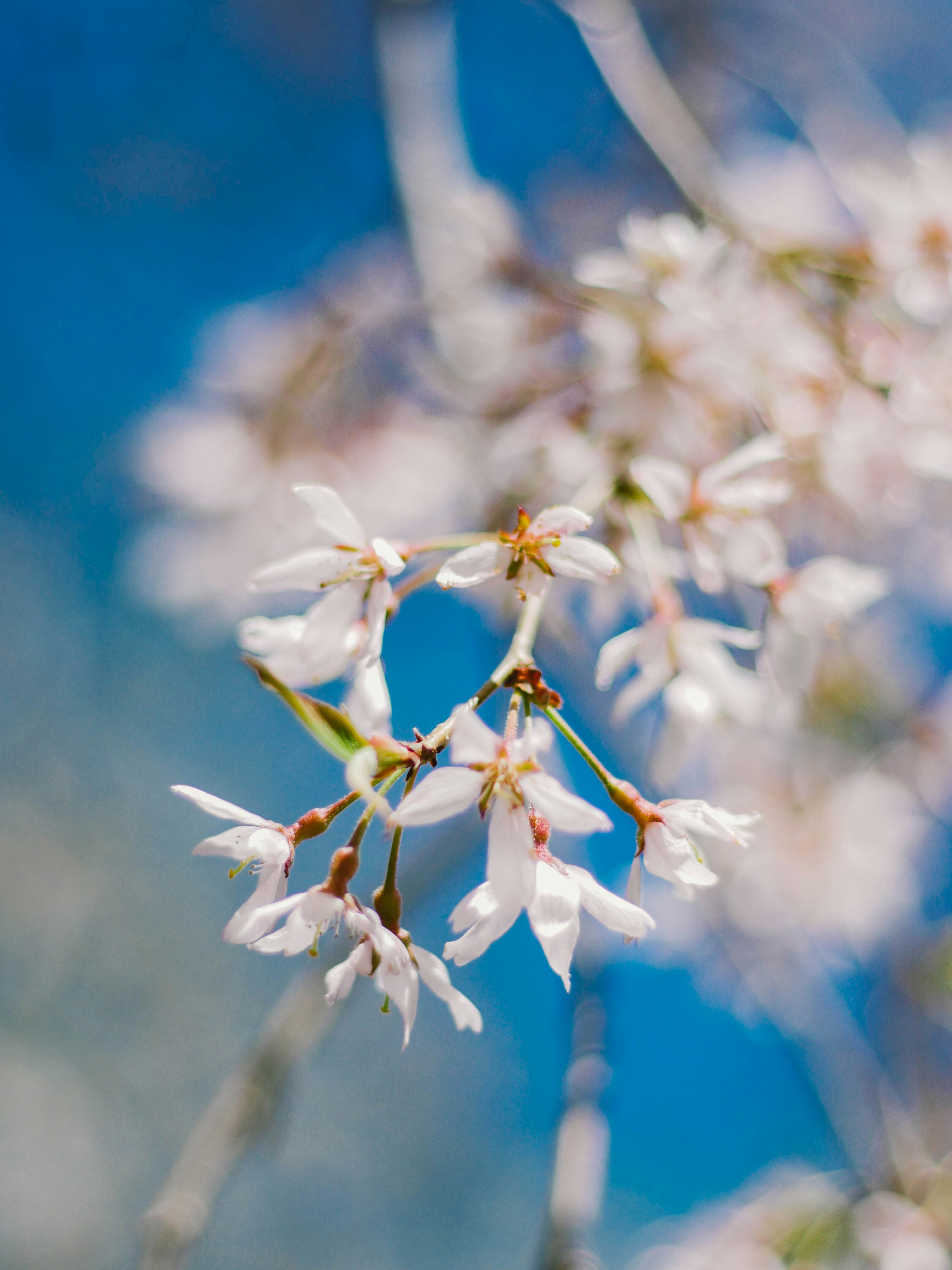 Photo by giobartlett