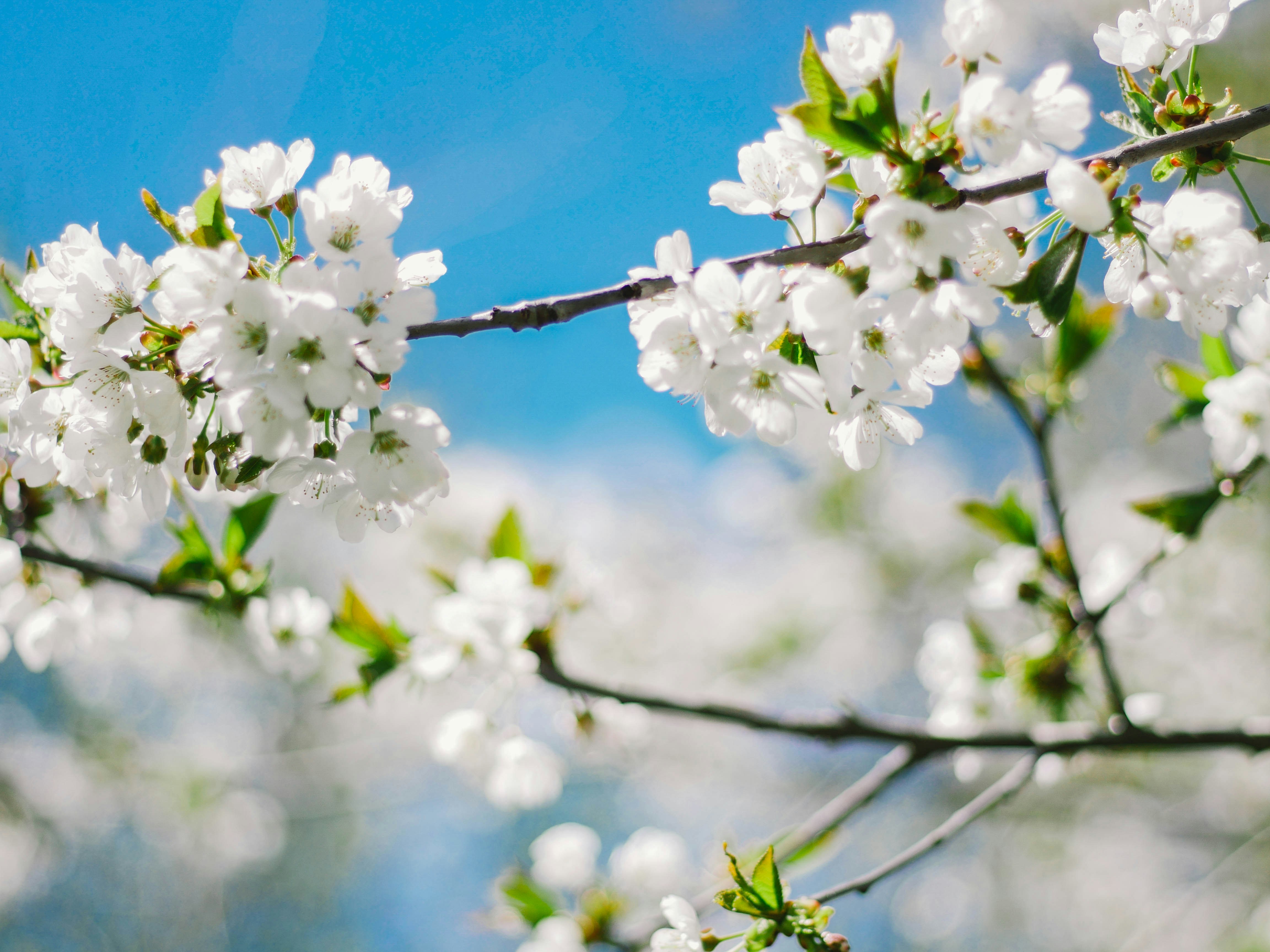 Photo by giobartlett