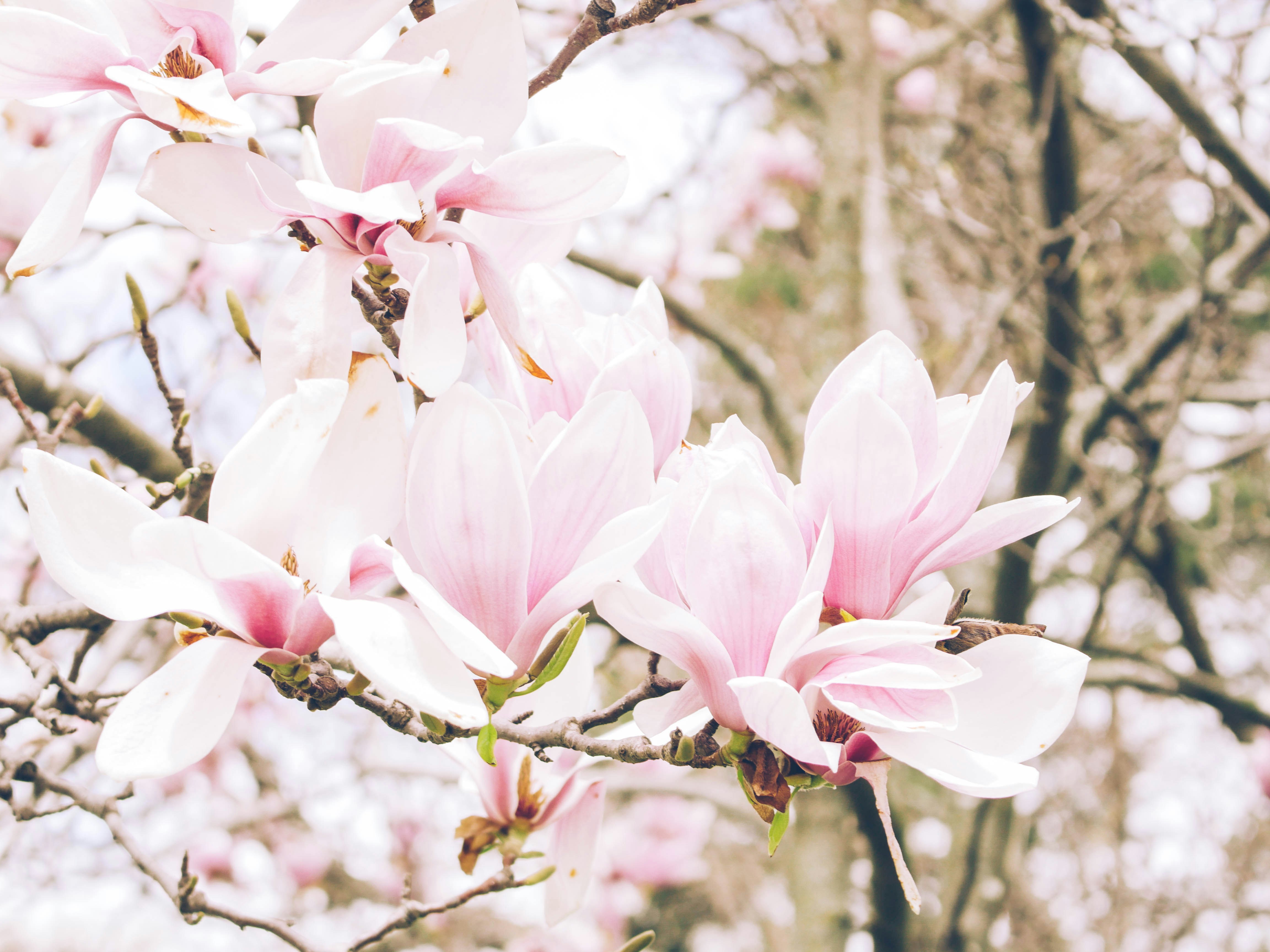 Photo by giobartlett