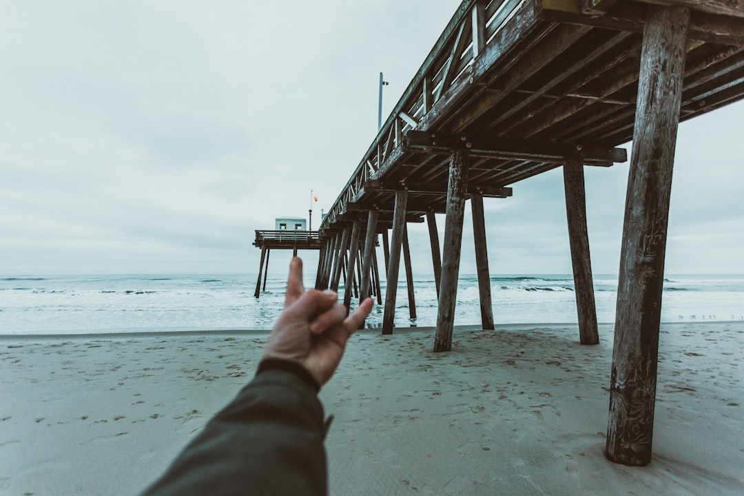 person in gray long sleeve shirt near brown wooden dock during daytime