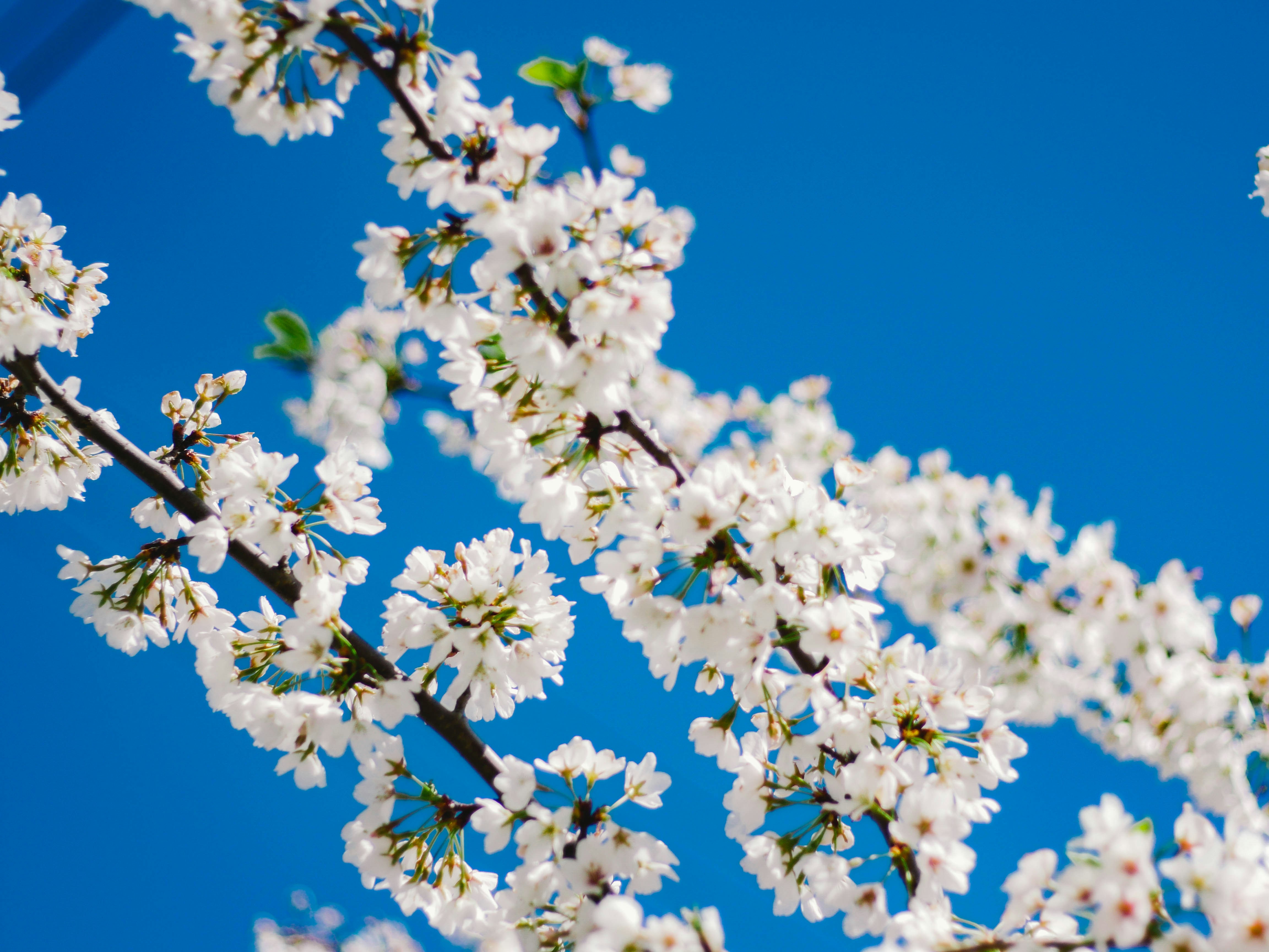 Photo by giobartlett