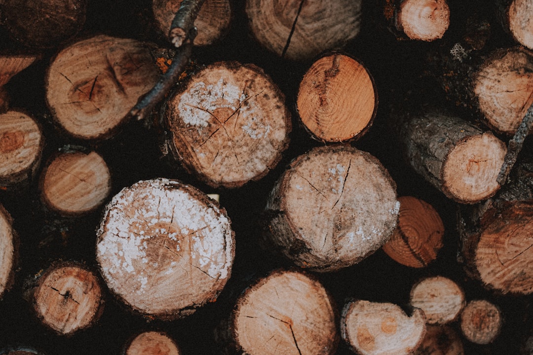 brown and black wood logs