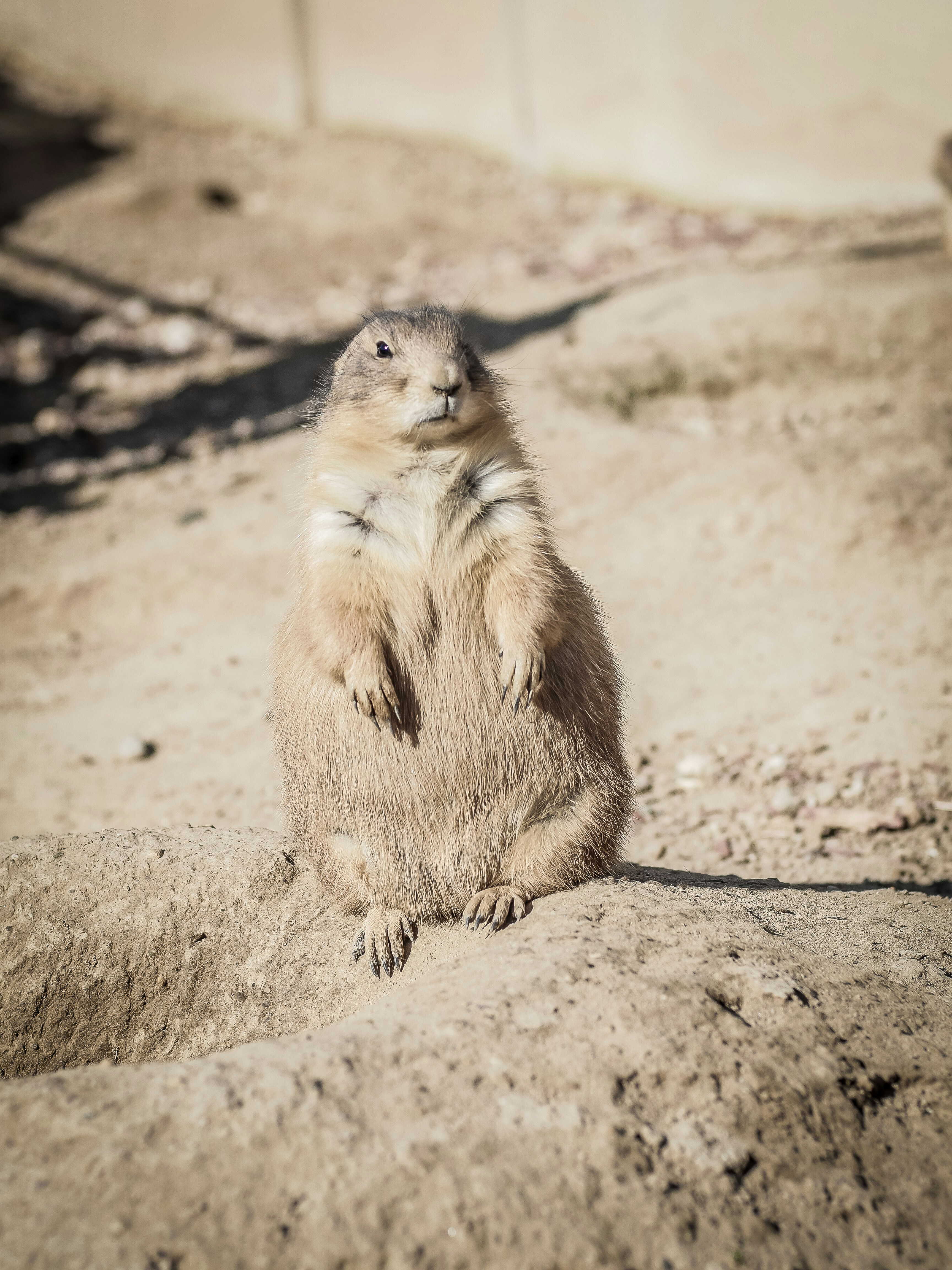 Photo by giobartlett