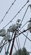 An industrial site with telecommunications equipment and antennas.