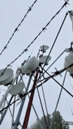 A collection of telecommunication towers with numerous satellite dishes and antennas is seen through barbed wire. The sky is overcast, creating a backdrop of gray clouds, emphasizing the industrial and slightly ominous atmosphere.