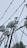 A collection of telecommunication towers with numerous satellite dishes and antennas is seen through barbed wire. The sky is overcast, creating a backdrop of gray clouds, emphasizing the industrial and slightly ominous atmosphere.