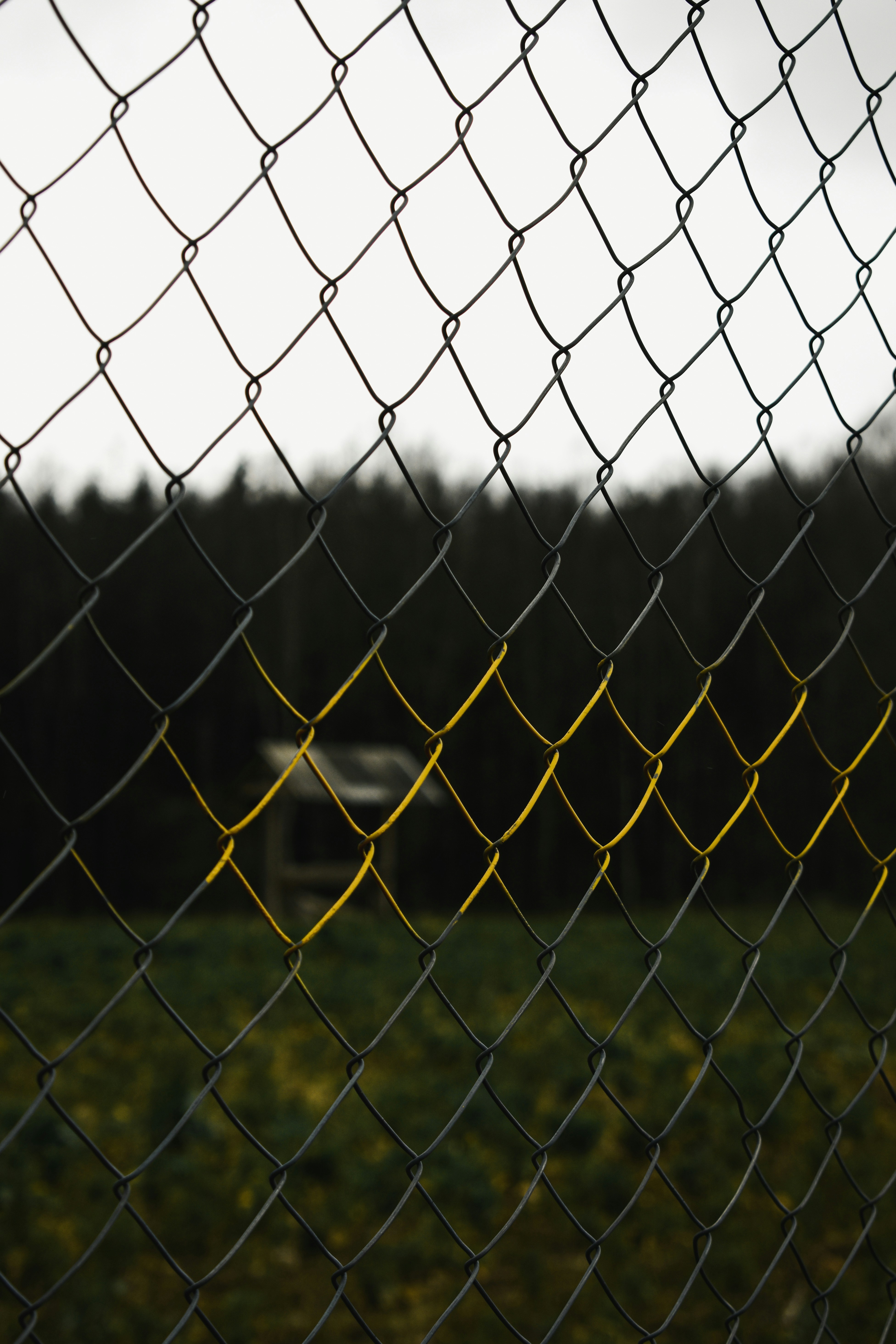 Photo by artem_makarov