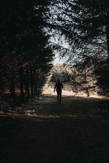 person in black jacket standing on snow covered ground near bare trees during daytime