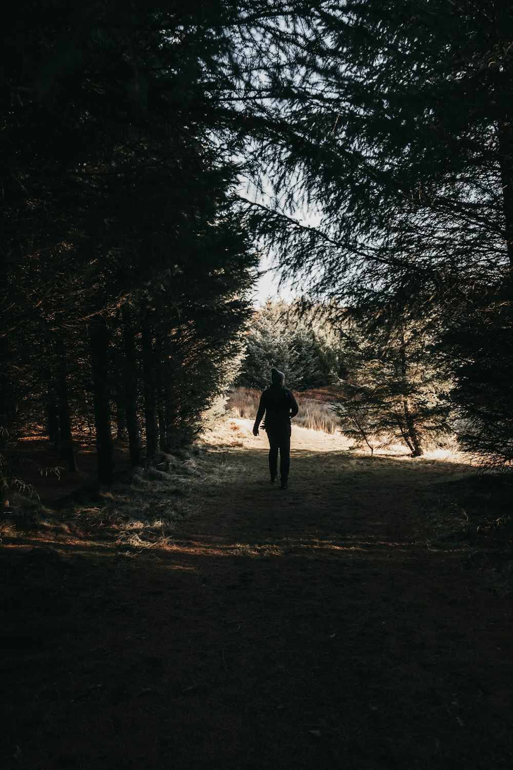 person in black jacket standing on snow covered ground near bare trees during daytime