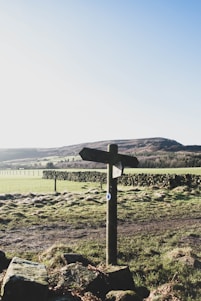 A rustic wooden signpost pointing to various farm stands on a sunny country road.