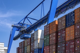 blue and red cargo containers