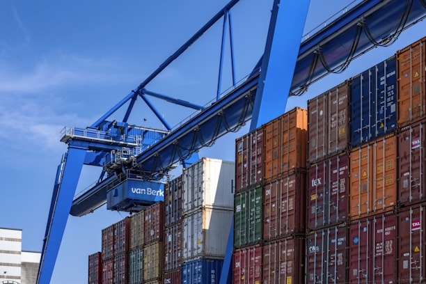 blue and red cargo containers