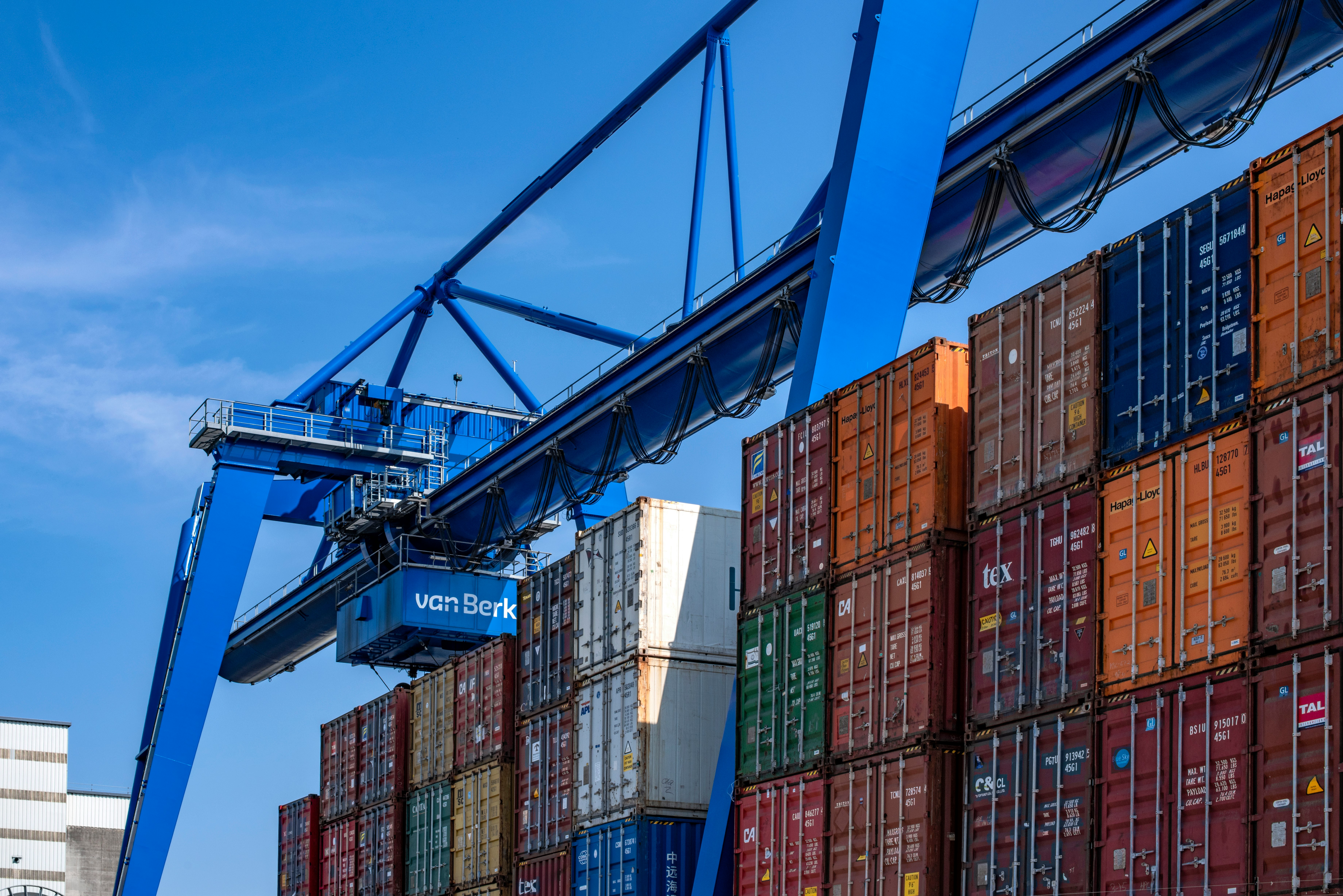 blue and red cargo containers