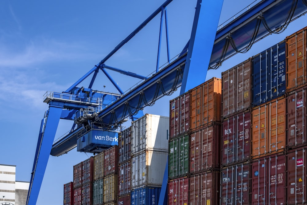 blue and red cargo containers