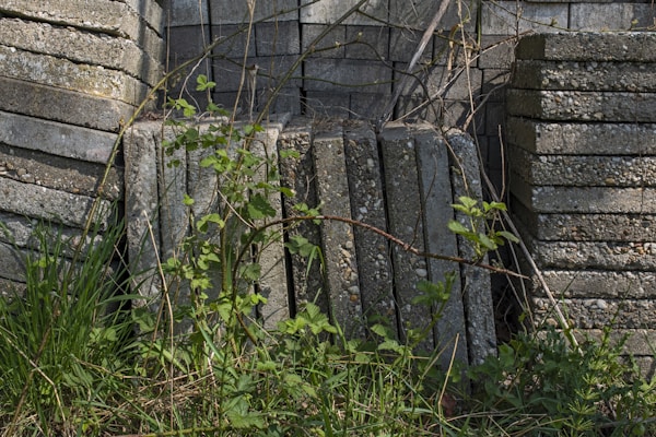 Reclaimed Stone Slabs