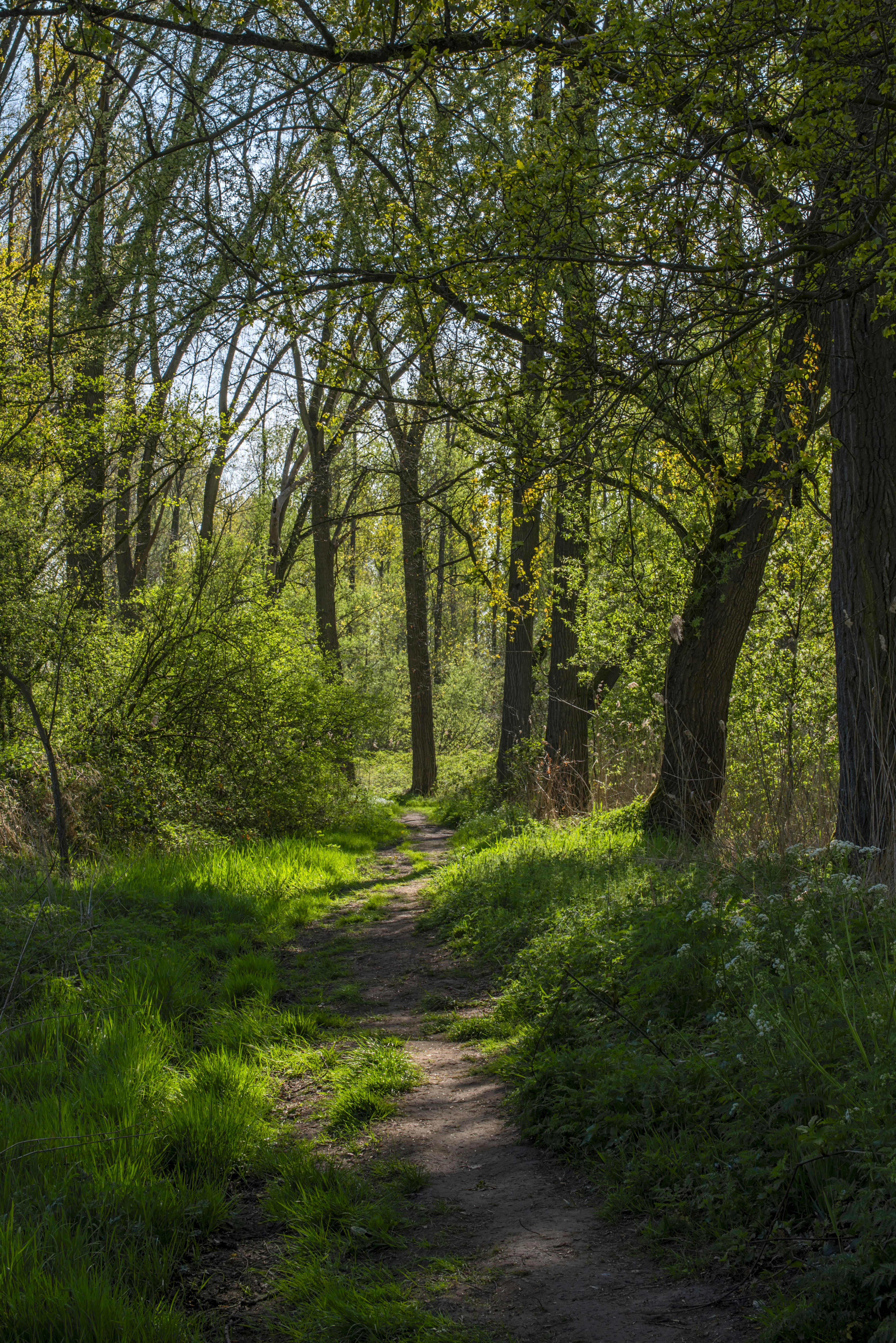 Photo by switch_dtp_fotografie