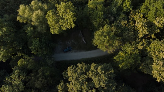 blue car on road between green trees during daytime in Comana Romania