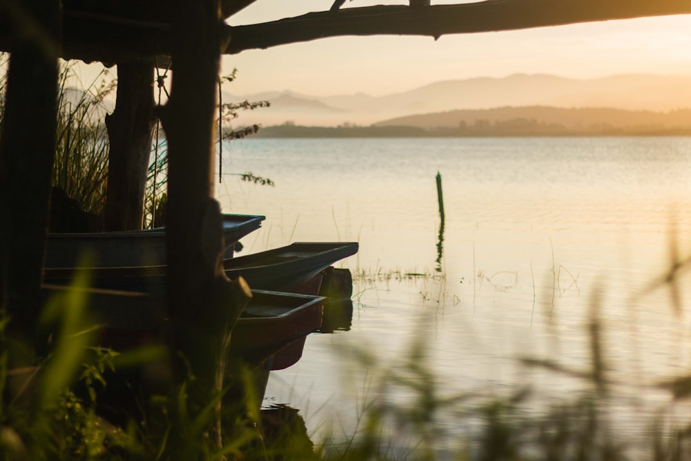 white boat on body of water during sunset