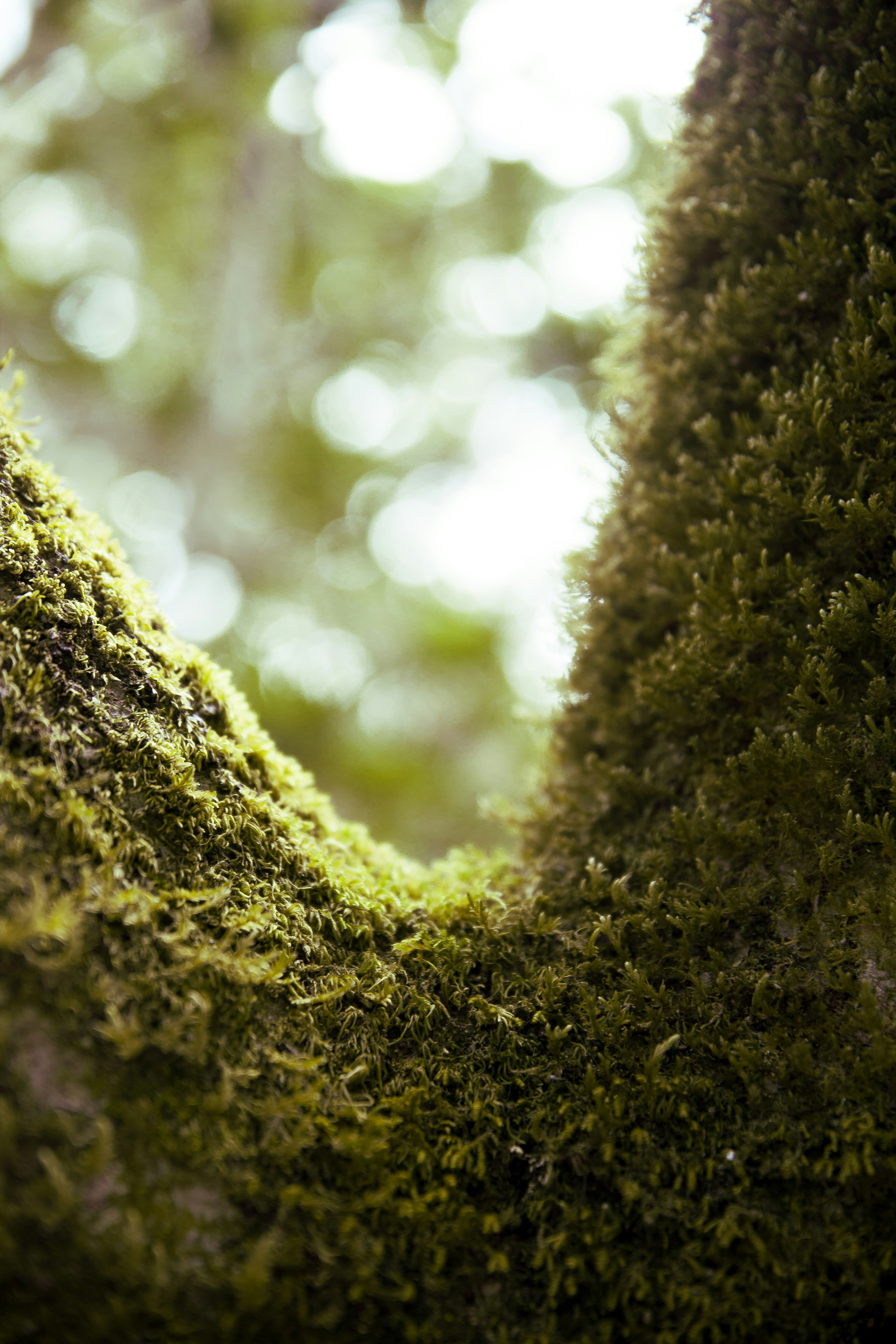 Photo by victorlazarov