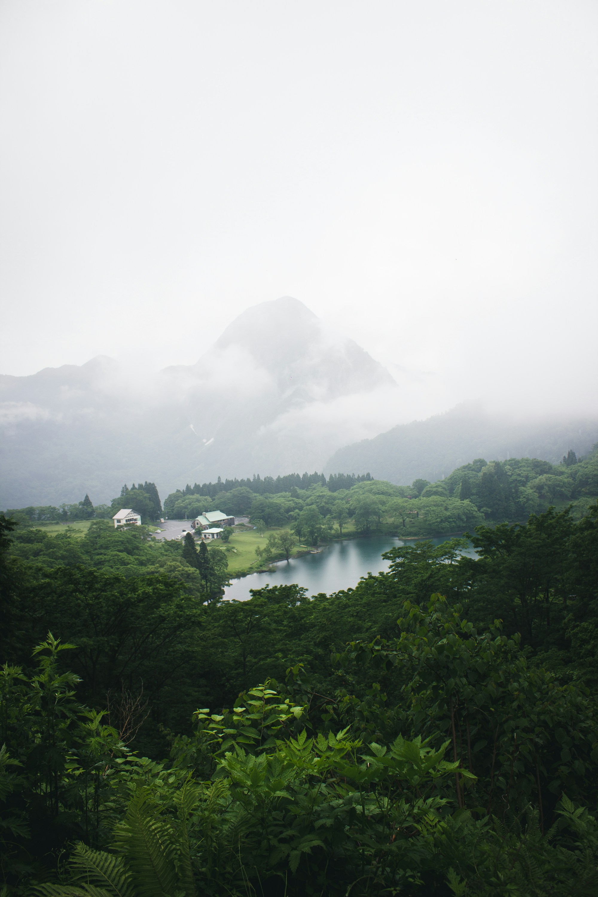 What to See in Niigata: Travel Guide & Sightseeing Tips