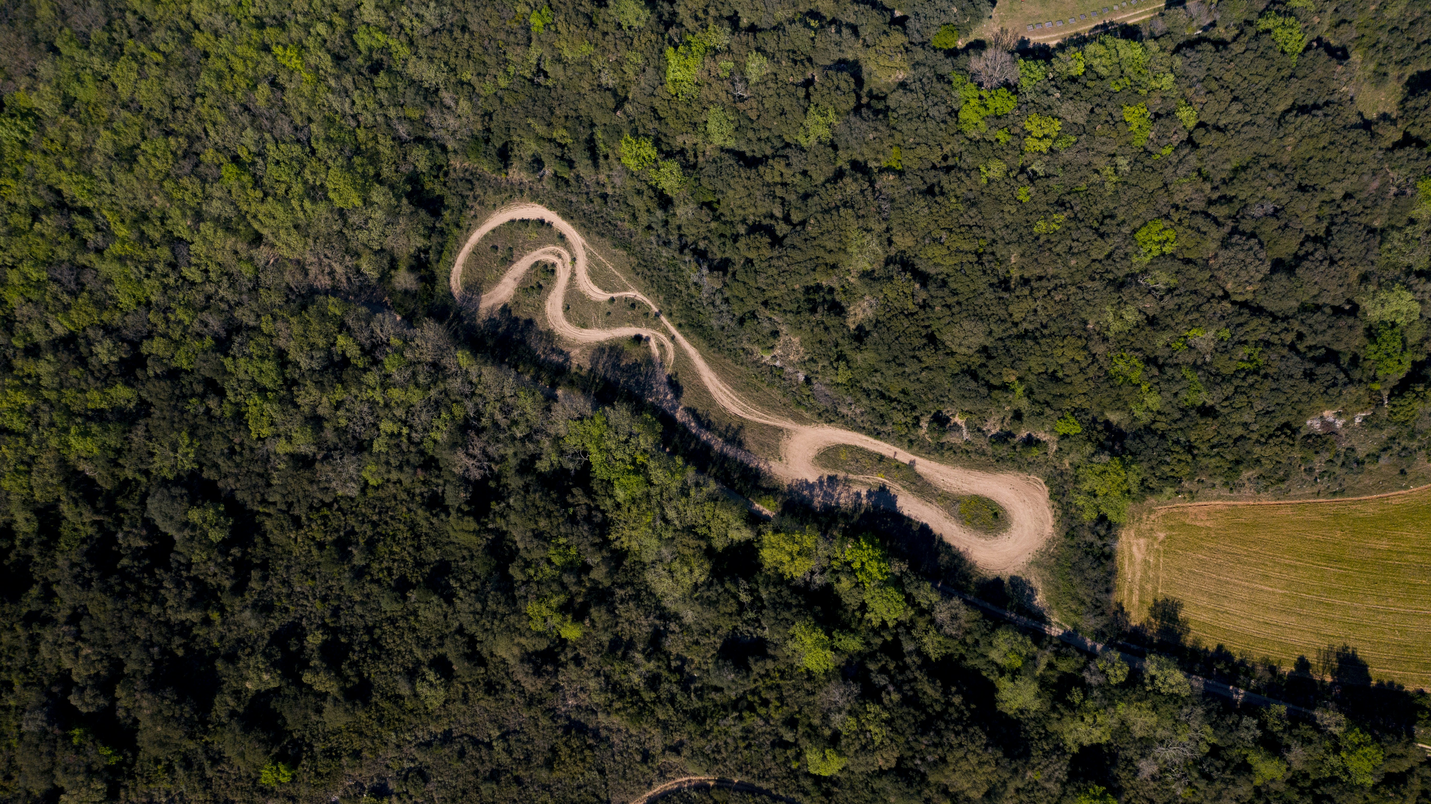 aerial view of road in the middle of green forest