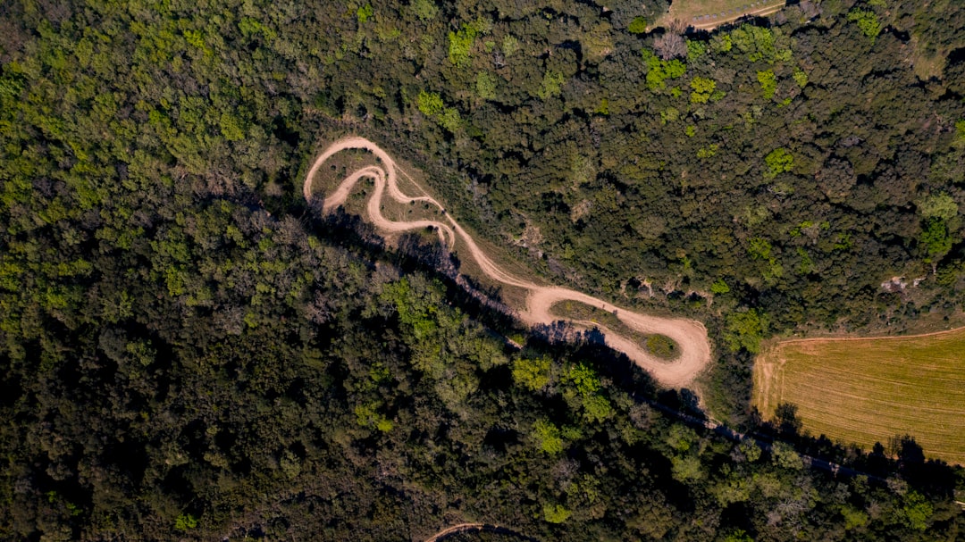 photo of Murviel-lès-Montpellier Forest near Montpellier Cathedral