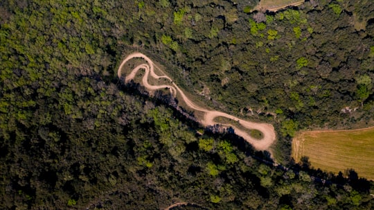 aerial view of road in the middle of green forest in Murviel-lès-Montpellier France