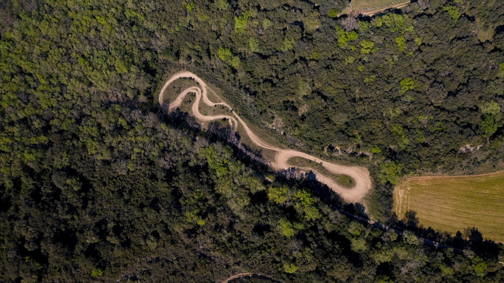 aerial view of road in the middle of green forest