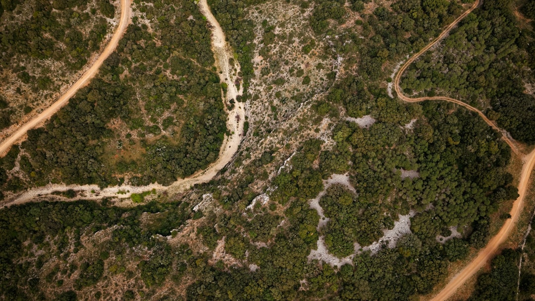 photo of Cournonterral Forest near Montpellier Cathedral