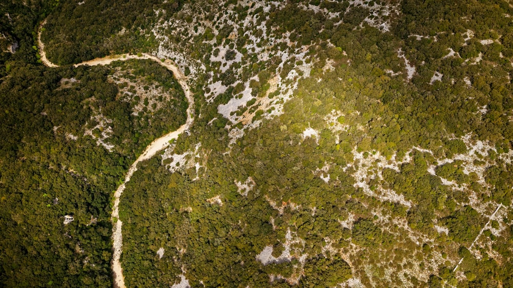 aerial view of green and brown land